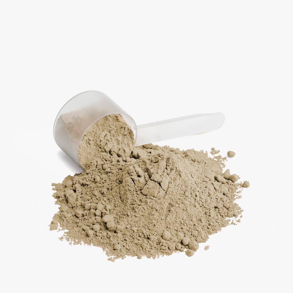 Rebuild — 100% Whey Protein Isolate (Vanilla)