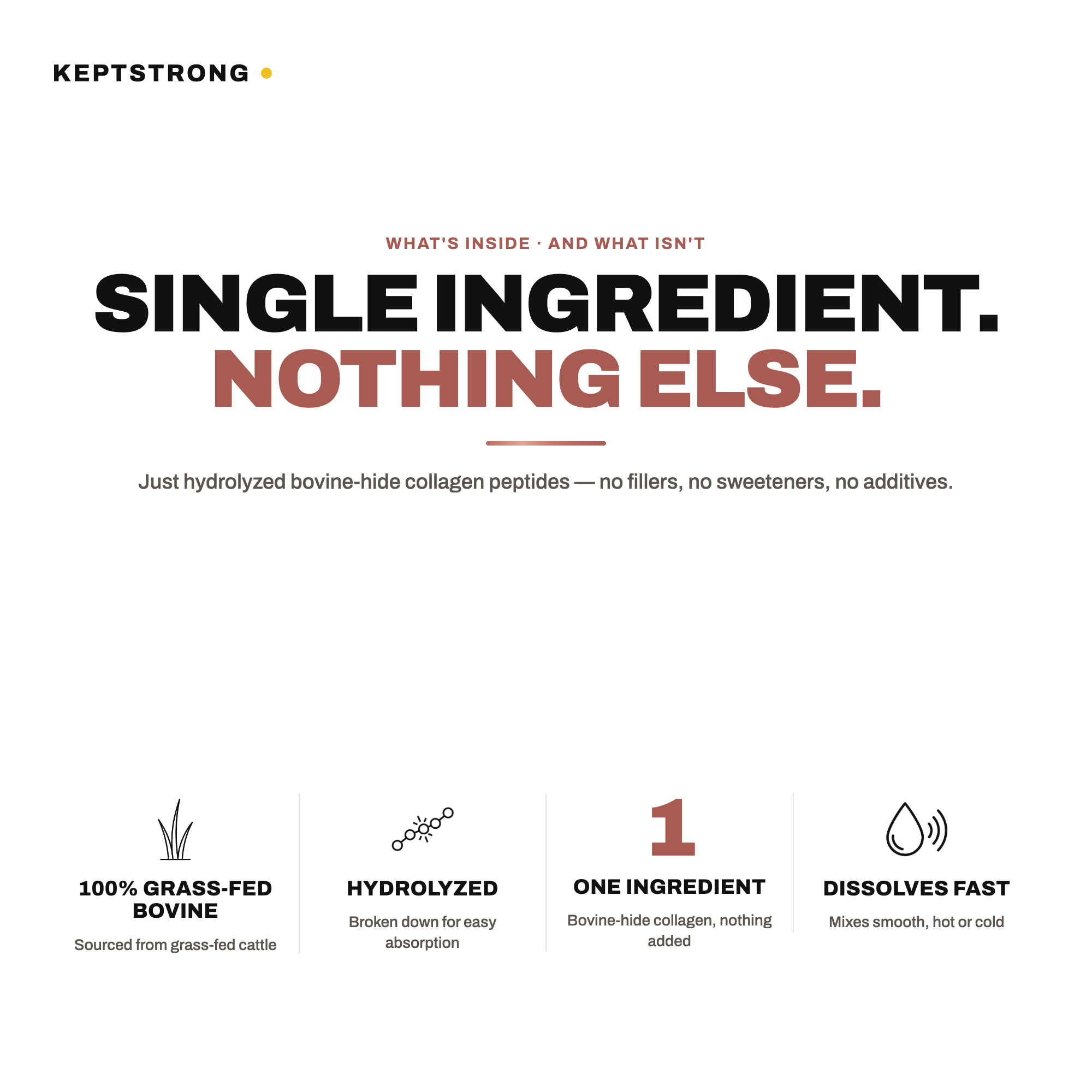KeptStrong Renew panel 2